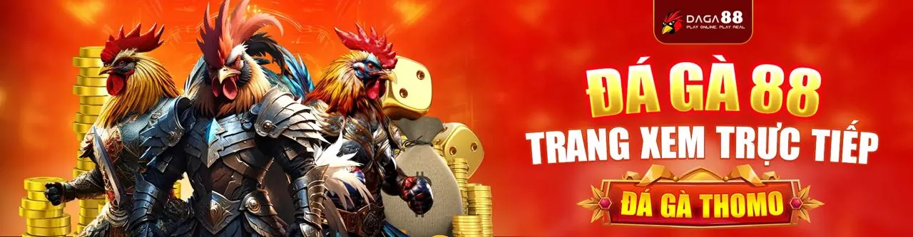 Hoàn trả và chương trình VIP vnjun88